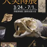 「美幌博物館」が誇る至高品を一挙公開！【大美博展】開催