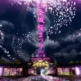 京都・二条城の桜を「映像×光×音」で演出【二条城桜まつり2018-桜の宴-】を開催！