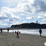 裸足で歩ける海岸を作ろう！今月も【えのすいecoデー】がやってくる！