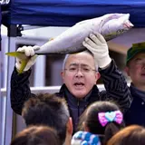 よってらっしゃいみてらっしゃい！誰もが魚介類に夢中になる！【大阪市中央卸売市場】の朝市開催