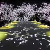 デジタルアートと食を楽しむ空間！【Sagaya銀座】ディナーコースで贅沢に春を味わおう！