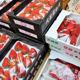 旬のいちごの新しい美味しさを発見！【ストロベリーフェスティバル in ヒルズマルシェ】開催！