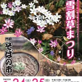 花と蕎麦を楽しむ！「能登雪割草まつり・門前そばの市」が石川県輪島で2日間限定開催