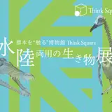 首都圏で同時開催！標本に”触る”博物館『Think Square』水陸両用の生き物展