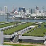  新豊洲市場をいち早く見学して学べるイベント「豊洲市場魅力発信フェスタ！」が開催！