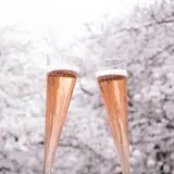 目黒川の桜並木はロゼワインでインスタ映え！「お花見CHANDON」企画が今年も開催