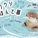癒しのカワウソ大集合！合同写真と物販展「カワウソほんと展 -改-」が東京で開催