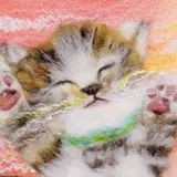 猫好きにはたまらない！『まるごと猫フェスティバル2018』全国の猫グッズが集まる！