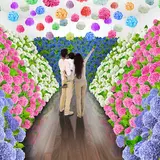 雨の季節も楽しもう！国内最多1250品種を展示する『あじさい祭』ハウステンボスで開催！