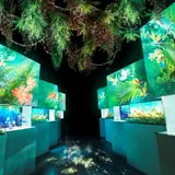 天気や時間に関係なく楽しめる！『水族館 × NAKED』で幻想的なアクアパーク！