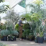 グリーンインテリアを楽しもう！「BOTANICAL GARDEN」vol.2が代官山で開催
