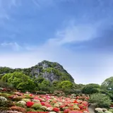 約20万本のツツジが咲き誇る特別な風景！「御船山楽園 花まつり」開催