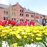 春の訪れを感じて！『FLOWER GARDEN 2018』横浜赤レンガ倉庫で開催