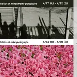 モノクロとカラーの写真から世界を見つめる写真展「時は春」ギャラリーKINGYO
