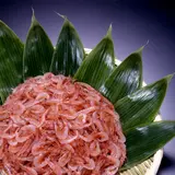 知ってた？世界で唯一【由比桜えびまつり】でしか食べられない「生の桜えび」を堪能しよう！