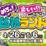 触ってみれば愛着がわくこと間違いなし！【動物ランド】で爬虫類や鳥類たちと触れあえる！