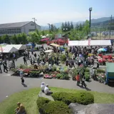 「第47回 丸森いち」植木、種苗や地元の特産品の販売、イベントも盛り沢山