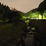 一万匹の蛍による幻想的な空間『武雄温泉保養村ほたる祭り』開催！