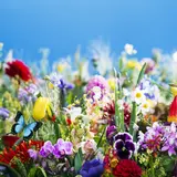 写真家・蜷川実花の本質に迫る！「蜷川実花展 ー虚構と現実の間にー」開催