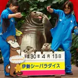 可愛い双子カワウソがお散歩！柵なしで見られるイベントが伊勢シーパラダイスで開催！