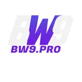 BW9 Pro