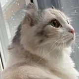 すも