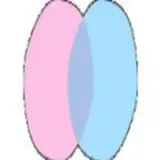 chatdansk