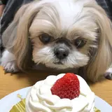 みるく