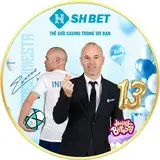 shbet800top1
