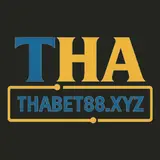 Giải Trí Mạng Thabet