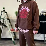 Spiderhoodie
