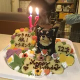 ももたろ