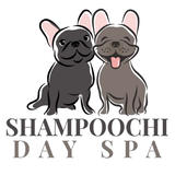 shampoochidays