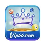 vip66boats