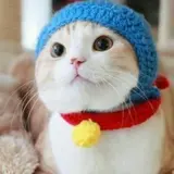 のじりん