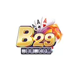 B29