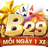 b29