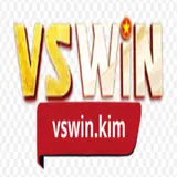 VSWIN