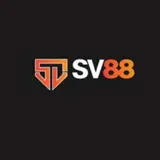 SV88 airlines