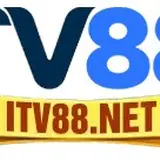 tv88net