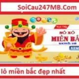 Soi Cầu 247 MB