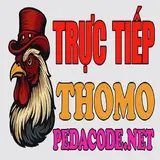 dagatructieppeda