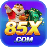 85xnetbr