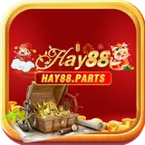 HAY88 parts