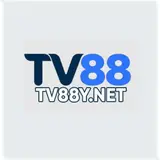 tv88ynet
