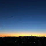 まるこ