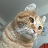しんば