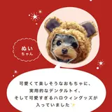 wanwan