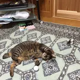 よっさん