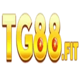 Tg88 fit